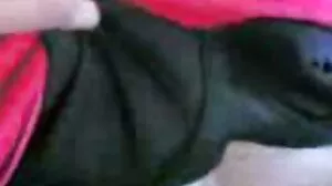 Lorena B liże szeroko otwartą mokrą cipkę Sabrisse A filmy erotyczne dojrzałe przed kamerą